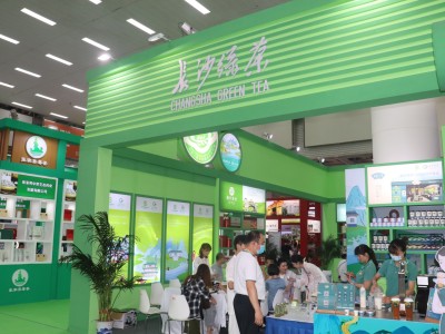 龙宇翔出席2025中国（深圳）国际春季茶产业博览会