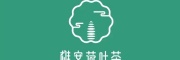 雄安荷叶茶
