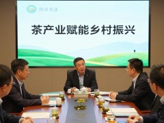 茶叶与健康：一杯好茶，守护身心平衡