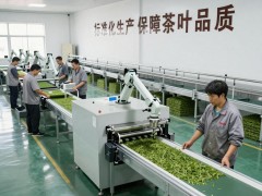 茶文化：藏在盖碗里的东方智慧