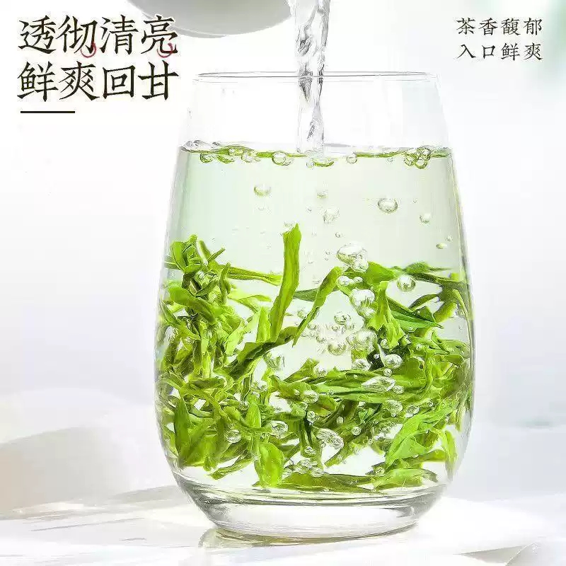 紫云春茶