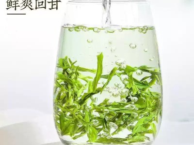 紫云春茶图1