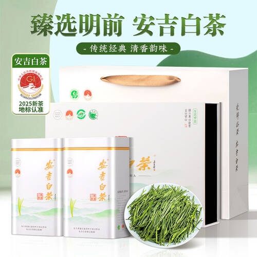 安吉白茶